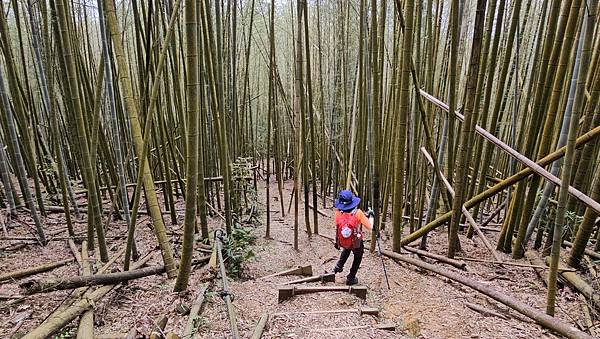 【水社大山】北陵線登山口，白石土地公O繞，挑戰日月潭最高峰-