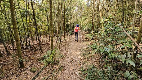 【水社大山】北陵線登山口，白石土地公O繞，挑戰日月潭最高峰-