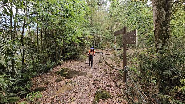 【水社大山】北陵線登山口，白石土地公O繞，挑戰日月潭最高峰-
