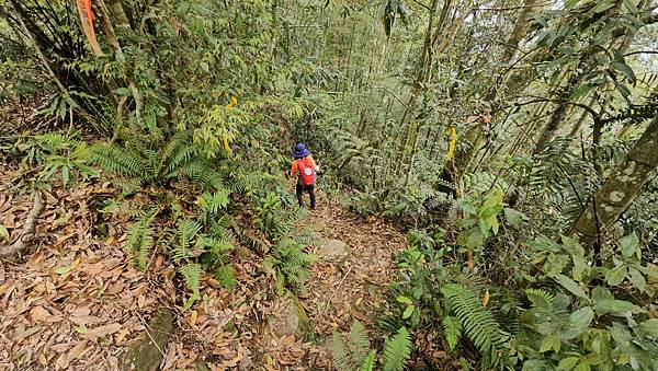 【水社大山】北陵線登山口，白石土地公O繞，挑戰日月潭最高峰-