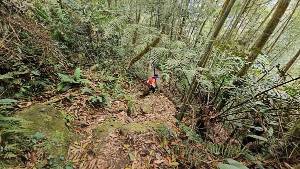 【水社大山】北陵線登山口，白石土地公O繞，挑戰日月潭最高峰-