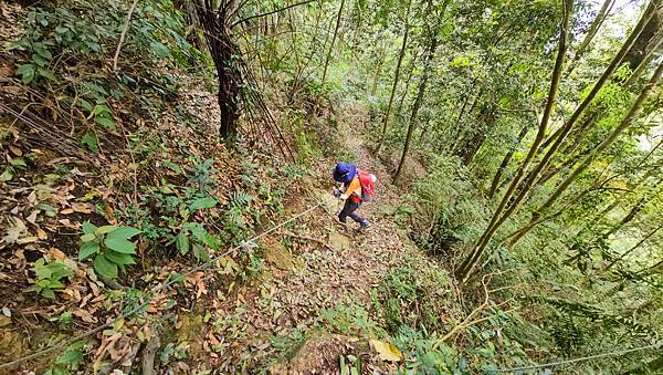 【水社大山】北陵線登山口，白石土地公O繞，挑戰日月潭最高峰-