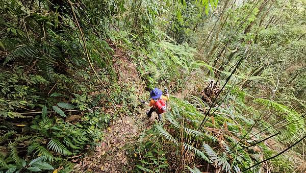 【水社大山】北陵線登山口，白石土地公O繞，挑戰日月潭最高峰-