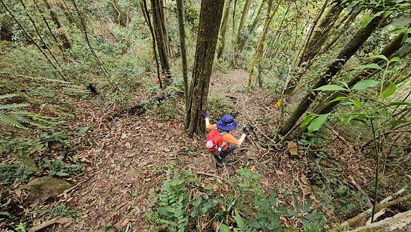 【水社大山】北陵線登山口，白石土地公O繞，挑戰日月潭最高峰-