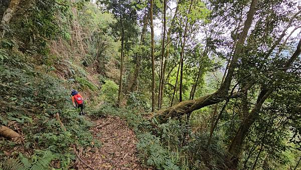 【水社大山】北陵線登山口，白石土地公O繞，挑戰日月潭最高峰-