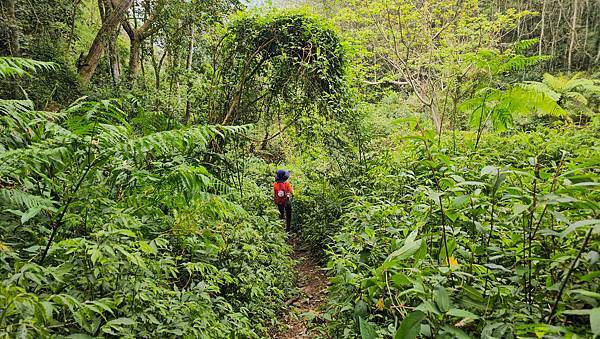 【水社大山】北陵線登山口，白石土地公O繞，挑戰日月潭最高峰-