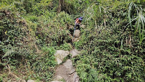 【水社大山】北陵線登山口，白石土地公O繞，挑戰日月潭最高峰-