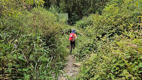 【水社大山】北陵線登山口，白石土地公O繞，挑戰日月潭最高峰-