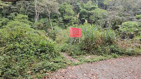 【水社大山】北陵線登山口，白石土地公O繞，挑戰日月潭最高峰-