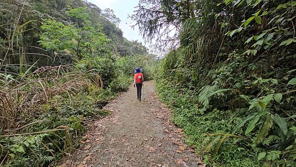 【水社大山】北陵線登山口，白石土地公O繞，挑戰日月潭最高峰-
