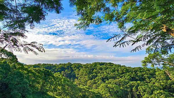 【萬里長城】台中大肚萬里長城步道，夕陽、海景，親民步道假日親