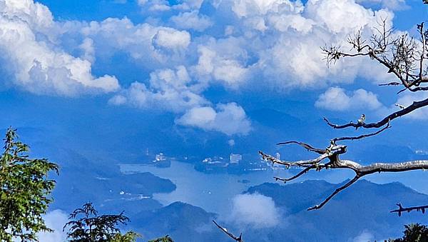 【西巒大山】挑戰百岳編號91｜從黑夜出發，遠望日月潭的黎明之