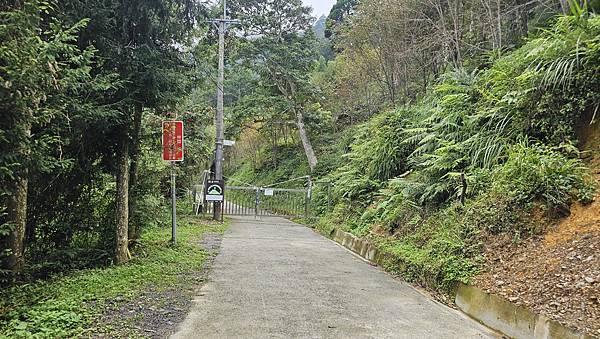【西巒大山】挑戰百岳編號91｜從黑夜出發，遠望日月潭的黎明之