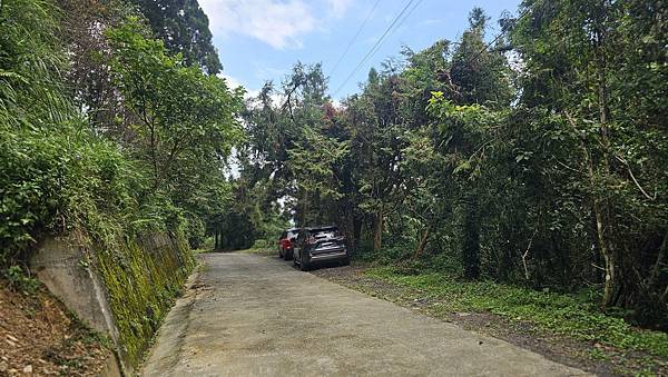 【西巒大山】挑戰百岳編號91｜從黑夜出發，遠望日月潭的黎明之