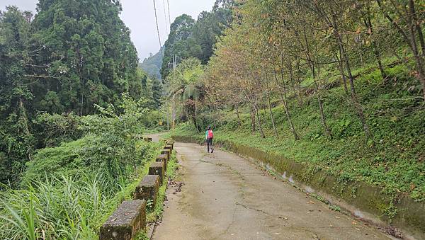 【西巒大山】挑戰百岳編號91｜從黑夜出發，遠望日月潭的黎明之