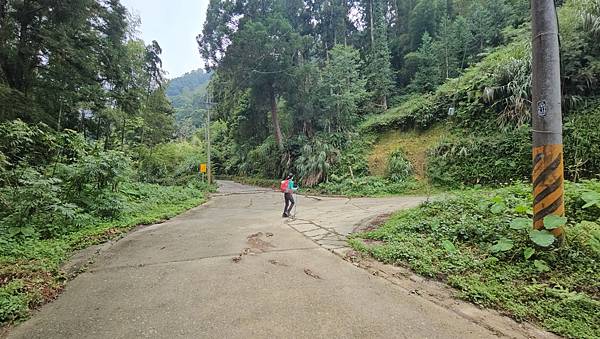 【西巒大山】挑戰百岳編號91｜從黑夜出發，遠望日月潭的黎明之