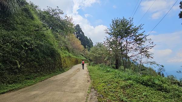 【西巒大山】挑戰百岳編號91｜從黑夜出發，遠望日月潭的黎明之