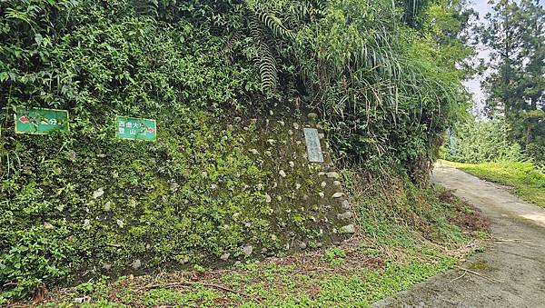 【西巒大山】挑戰百岳編號91｜從黑夜出發，遠望日月潭的黎明之