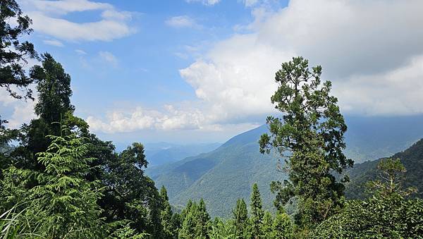 【西巒大山】挑戰百岳編號91｜從黑夜出發，遠望日月潭的黎明之