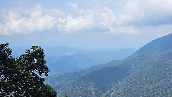 【西巒大山】挑戰百岳編號91｜從黑夜出發，遠望日月潭的黎明之