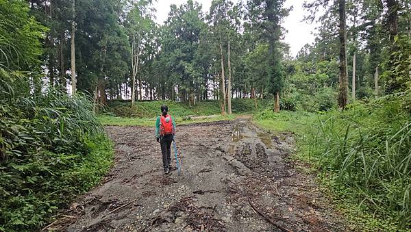 【西巒大山】挑戰百岳編號91｜從黑夜出發，遠望日月潭的黎明之
