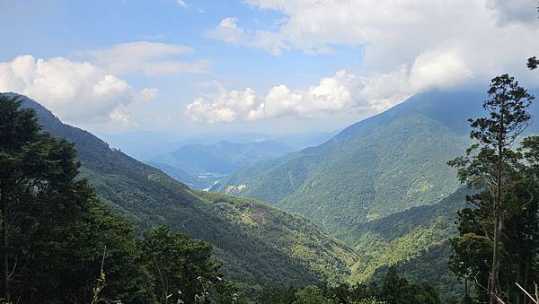 【西巒大山】挑戰百岳編號91｜從黑夜出發，遠望日月潭的黎明之