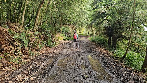 【西巒大山】挑戰百岳編號91｜從黑夜出發，遠望日月潭的黎明之