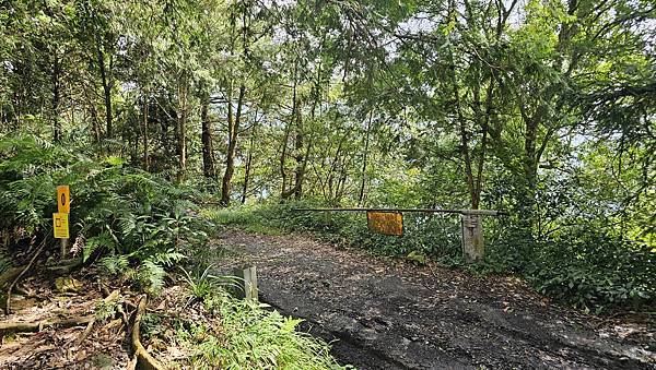 【西巒大山】挑戰百岳編號91｜從黑夜出發，遠望日月潭的黎明之