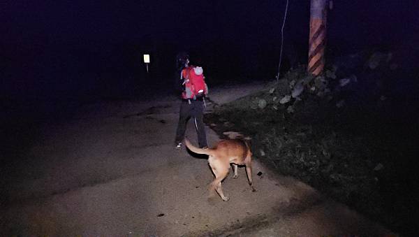 【西巒大山】挑戰百岳編號91｜從黑夜出發，遠望日月潭的黎明之