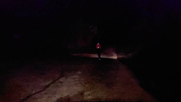 【西巒大山】挑戰百岳編號91｜從黑夜出發，遠望日月潭的黎明之