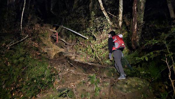 【西巒大山】挑戰百岳編號91｜從黑夜出發，遠望日月潭的黎明之