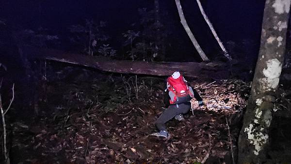 【西巒大山】挑戰百岳編號91｜從黑夜出發，遠望日月潭的黎明之