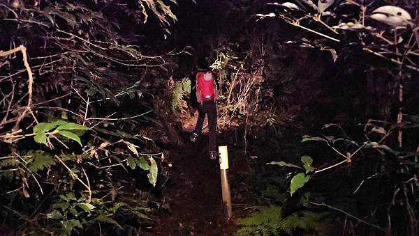 【西巒大山】挑戰百岳編號91｜從黑夜出發，遠望日月潭的黎明之