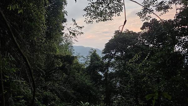 【西巒大山】挑戰百岳編號91｜從黑夜出發，遠望日月潭的黎明之