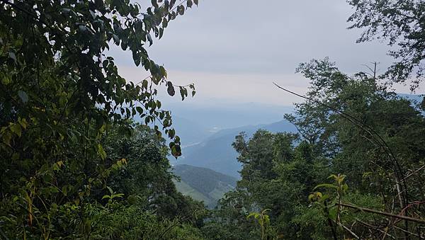 【西巒大山】挑戰百岳編號91｜從黑夜出發，遠望日月潭的黎明之
