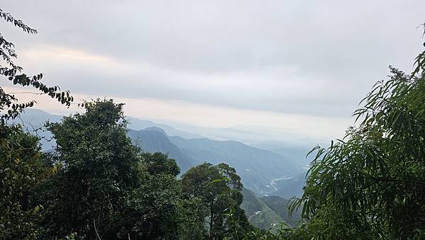 【西巒大山】挑戰百岳編號91｜從黑夜出發，遠望日月潭的黎明之
