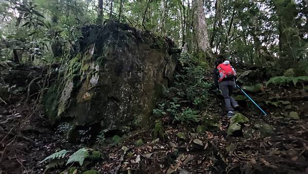 【西巒大山】挑戰百岳編號91｜從黑夜出發，遠望日月潭的黎明之