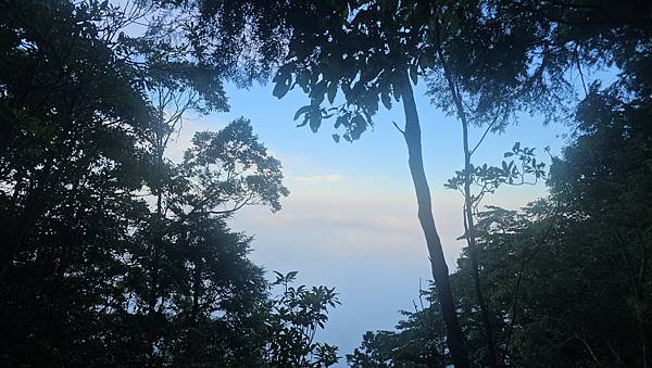 【西巒大山】挑戰百岳編號91｜從黑夜出發，遠望日月潭的黎明之
