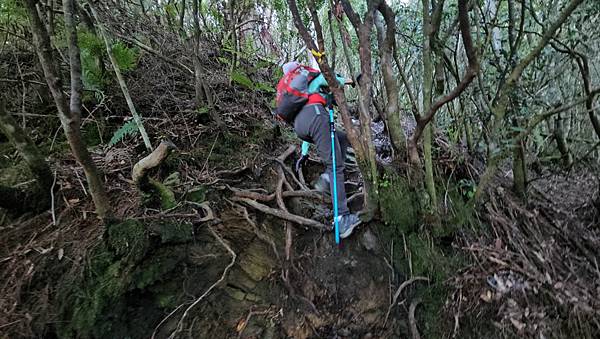 【西巒大山】挑戰百岳編號91｜從黑夜出發，遠望日月潭的黎明之