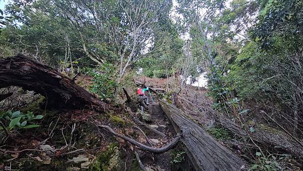 【西巒大山】挑戰百岳編號91|從黑夜出發,遠望日月潭的黎明之 【西巒大山】挑戰百岳編號91|從黑夜出發,遠望日月潭的黎明之
