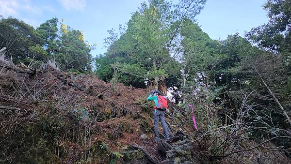 【西巒大山】挑戰百岳編號91｜從黑夜出發，遠望日月潭的黎明之