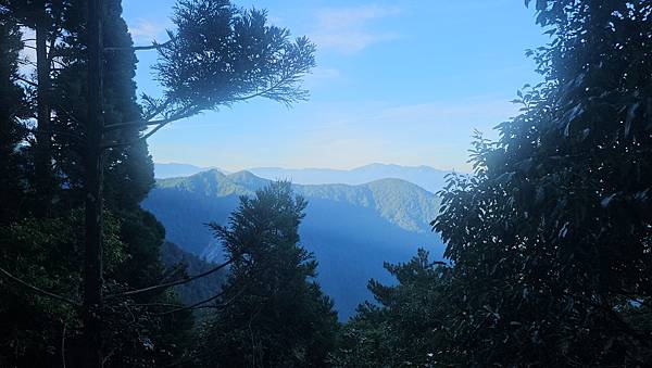 【西巒大山】挑戰百岳編號91｜從黑夜出發，遠望日月潭的黎明之