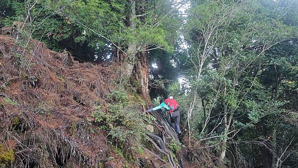 【西巒大山】挑戰百岳編號91｜從黑夜出發，遠望日月潭的黎明之