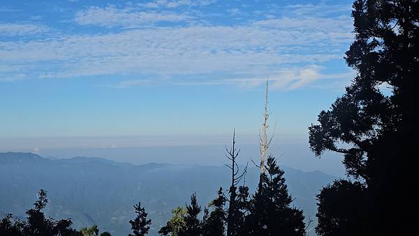 【西巒大山】挑戰百岳編號91｜從黑夜出發，遠望日月潭的黎明之