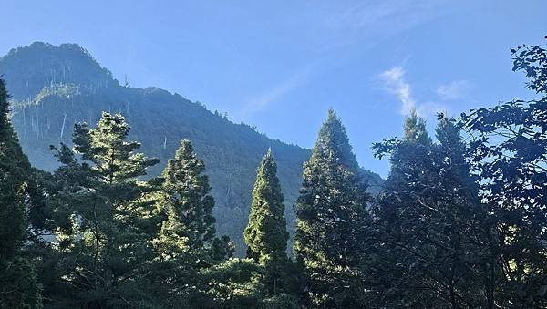 【西巒大山】挑戰百岳編號91｜從黑夜出發，遠望日月潭的黎明之