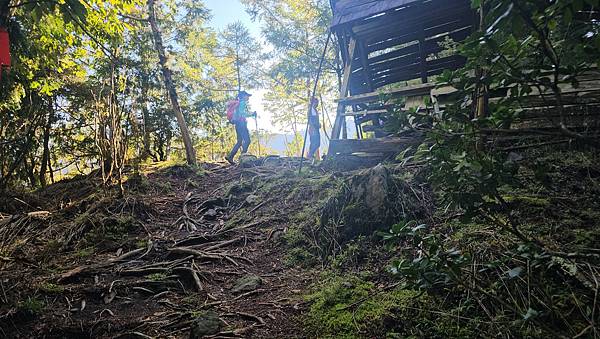【西巒大山】挑戰百岳編號91｜從黑夜出發，遠望日月潭的黎明之
