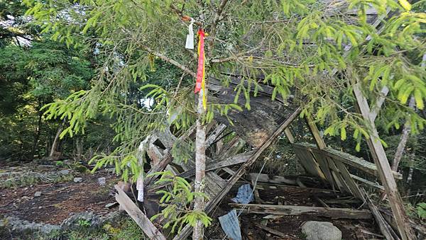 【西巒大山】挑戰百岳編號91｜從黑夜出發，遠望日月潭的黎明之