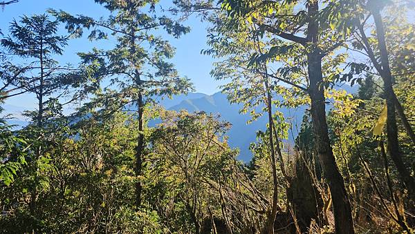【西巒大山】挑戰百岳編號91｜從黑夜出發，遠望日月潭的黎明之