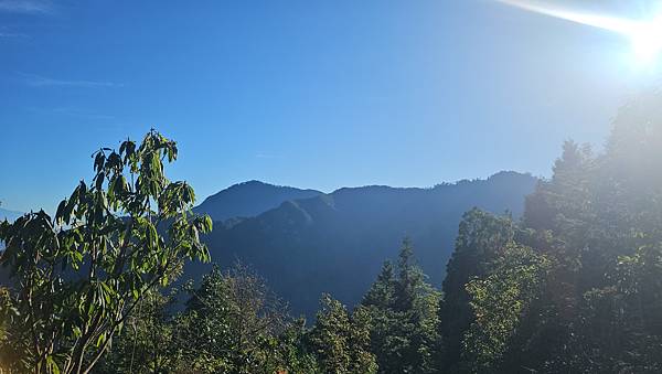 【西巒大山】挑戰百岳編號91｜從黑夜出發，遠望日月潭的黎明之