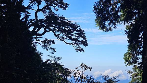 【西巒大山】挑戰百岳編號91｜從黑夜出發，遠望日月潭的黎明之